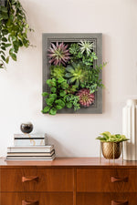 Nattol Artificial Succulent Frame