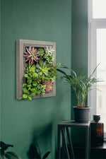 Nattol Artificial Succulent Frame