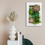 Nattol Artificial Succulent Frame