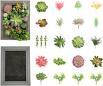 Nattol DIY Artificial Succulent Frame