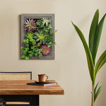 Nattol Artificial Succulent Frame