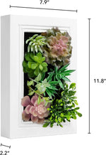 Nattol Artificial Succulent Frame