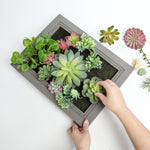 Nattol DIY Artificial Succulent Frame